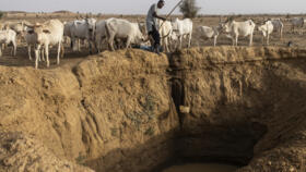 A herdsmen collects water from a hole for his cattle in Bouli Lewe on May 1, 2024.