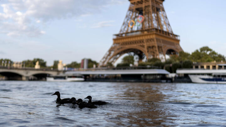 Ducks swim along the Seine River in front of the Eiffel Tower during the 2024 Summer Olympics, Monday, July 29, 2024, in Paris.