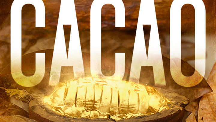 Nouvelle saison de "Cacao"